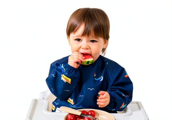 BebeBiu Baby Bibs Waterproof Smock-3